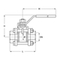 Ball valve Type: 7446 Stainless steel Internal thread (BSPP) 1000 PSI WOG